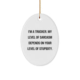 Funny Trucker Gifts, Oval Ornament, I'm A Trucker, My Level Of Sarcasm Depends On Your Level Of Stupidity, Christmas Unique Gifts from Friends to Family - Image 1